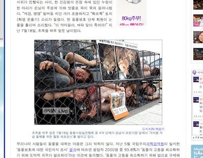 犬肉に対する韓国人の意見、肯定派