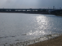 2a516155.jpg