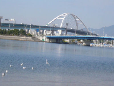 47317677.jpg