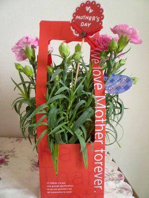 2010_0509画像0016