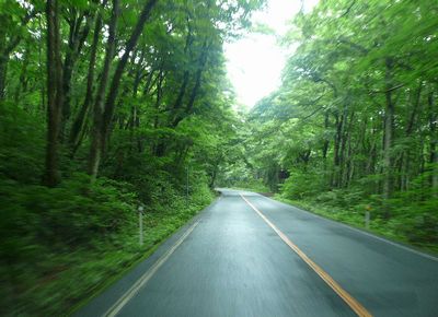 2010_0620画像10016
