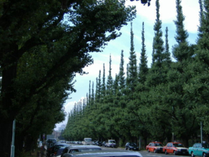 878629aa.jpg