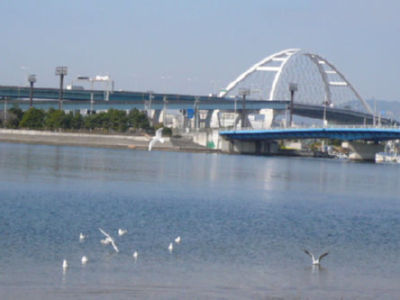 9852aaea.jpg