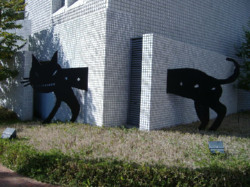 aace4a88.jpg