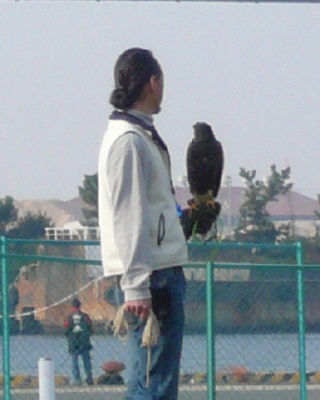aceaf2a9.jpg