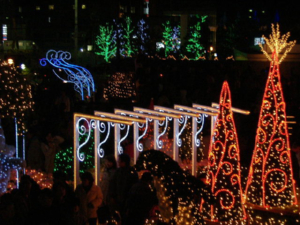ec206975.jpg