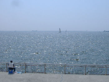 f17338e1.jpg