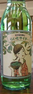 kurokawa03