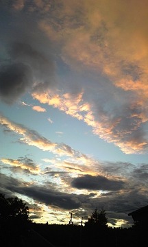 c97ba818.jpg