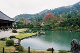 雨の日の天龍寺