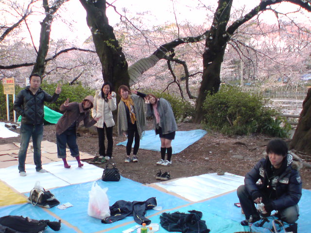 hanami