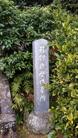 109f053d.jpg