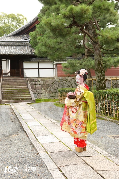 京都　舞妓体験 心-花雫-　祇園店