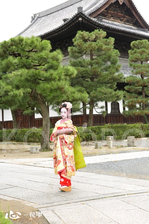京都　舞妓体験 心-花雫-　祇園店