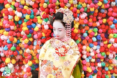 京都　舞妓体験 心-花雫-　祇園店