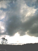 d8d3433a.jpg