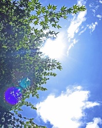 summer