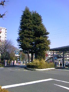 050d7def.jpg