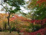 太宰府かまかど神社 2