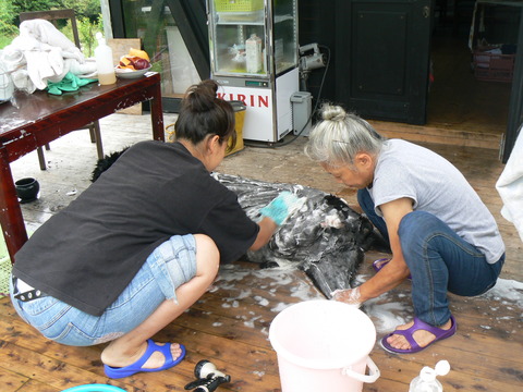 P1130789