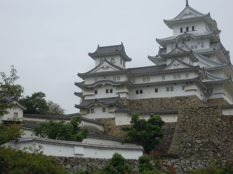 DSCN4984