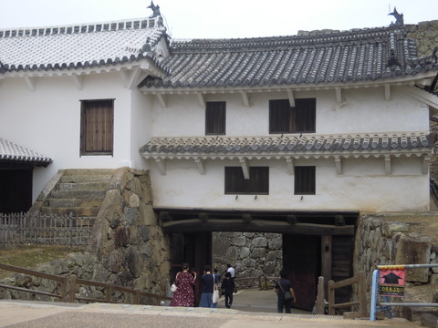 DSCN4935
