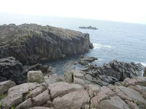DSCN4385