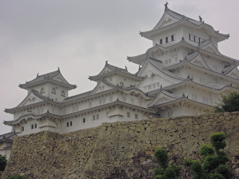 DSCN4816