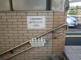 IMGP5064