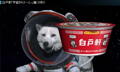 tvcm