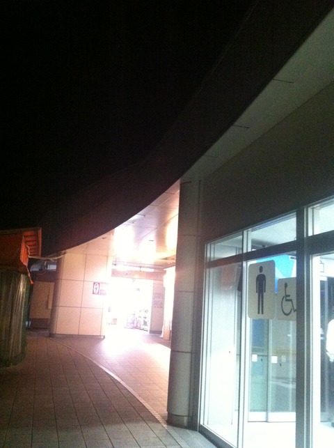 ウィラートラベル 夜行バス 16