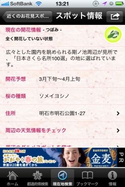 Yahoo!お花見2011_7