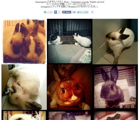 usasutagram