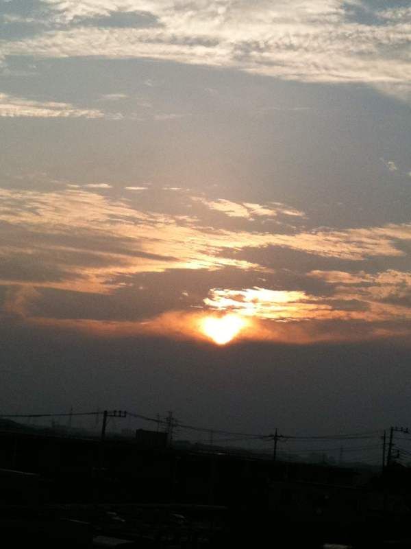 ハートの太陽。 楠大典さん1