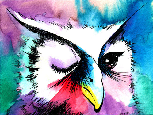 ウィンクするフクロウ Wink Owl