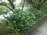 10ee011a.jpg