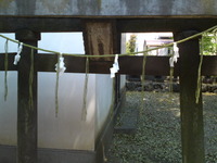 27e49655.jpg