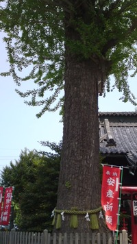 4c5844cc.jpg