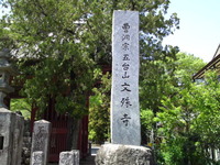 60049b49.jpg