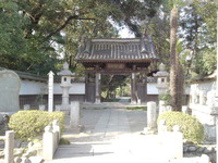 717d0200.jpg