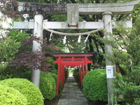 86e60745.jpg
