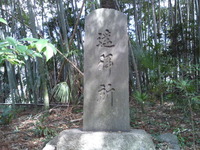 88169416.jpg