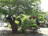 8b219d13.jpg