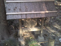 8d3f0626.jpg