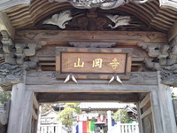 968e2e74.jpg