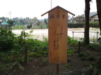 a48f3d6c.jpg
