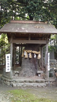 bbb06b13.jpg