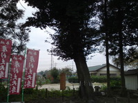 d9296629.jpg