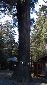 d9855c10.jpg