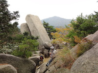 DSC03950